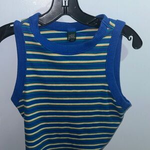 Wild Fable Multicolor Striped Tank Top